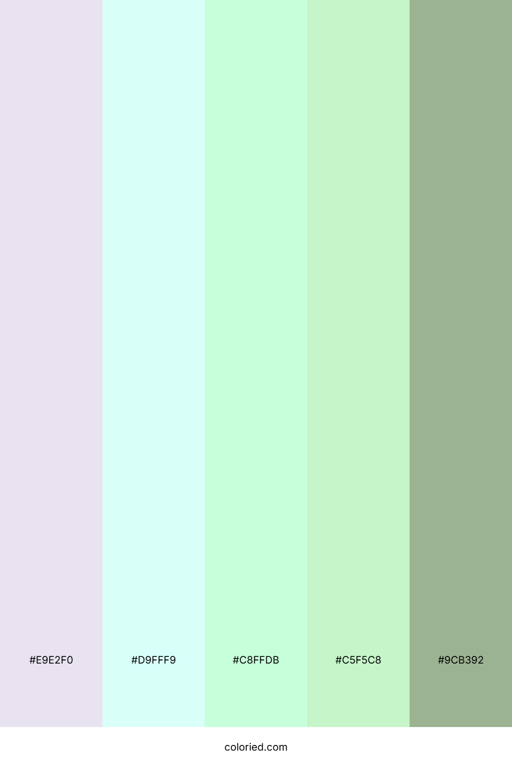 Luminous Sage Frost Palette