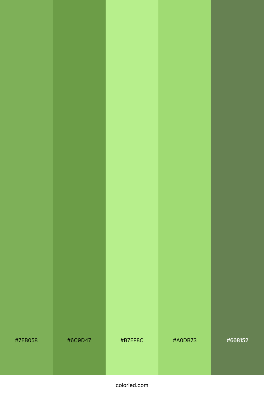 Lush Garden Lime Palette