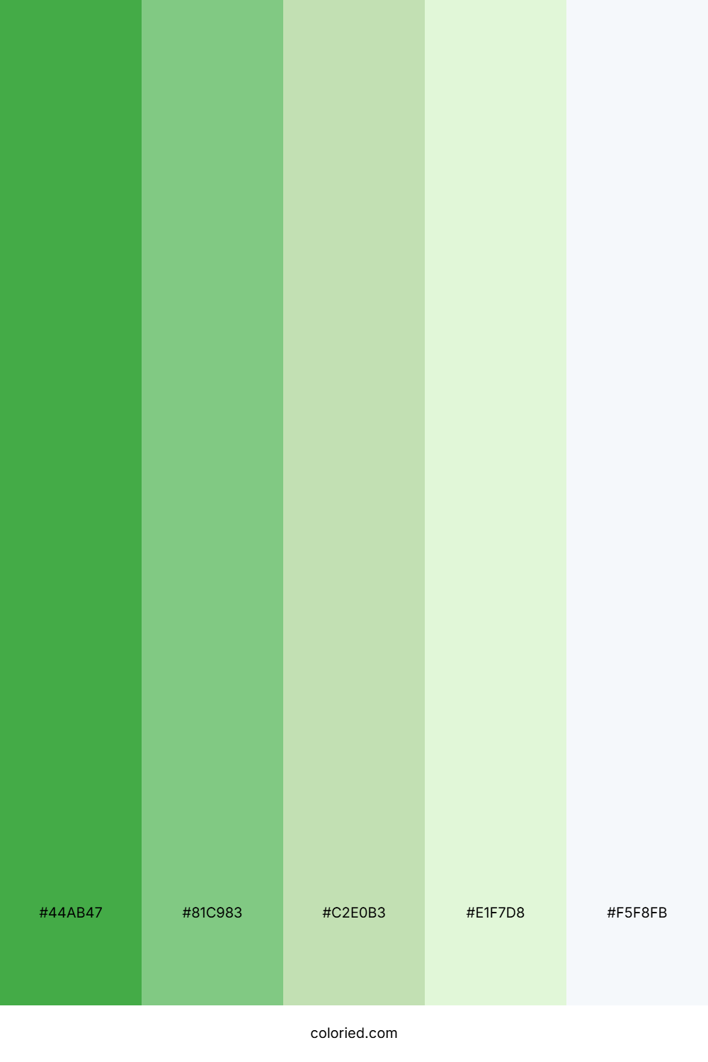 Lush Green Meadow Color Palette