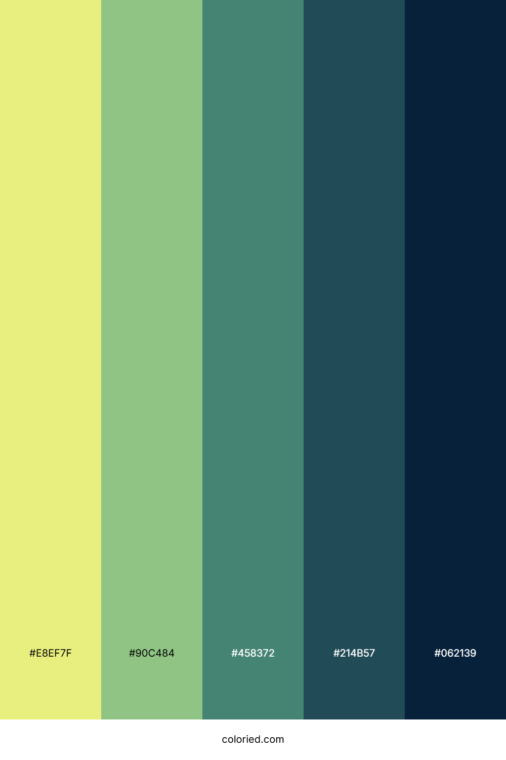 Lush Jungle Night Color Palette