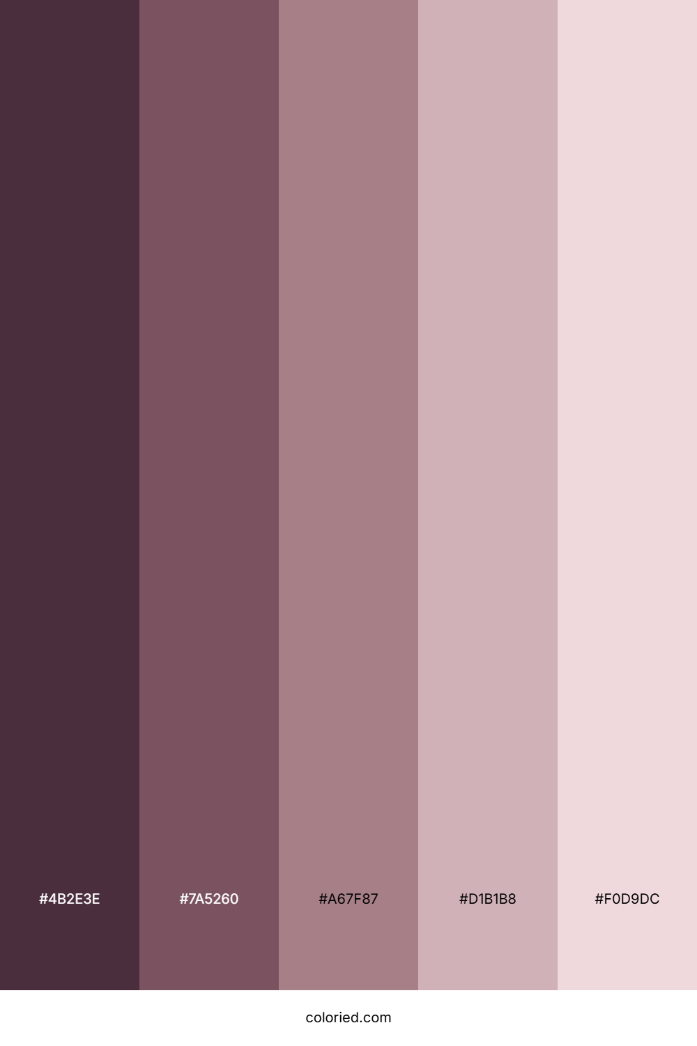 Macaron Shades Color Palette