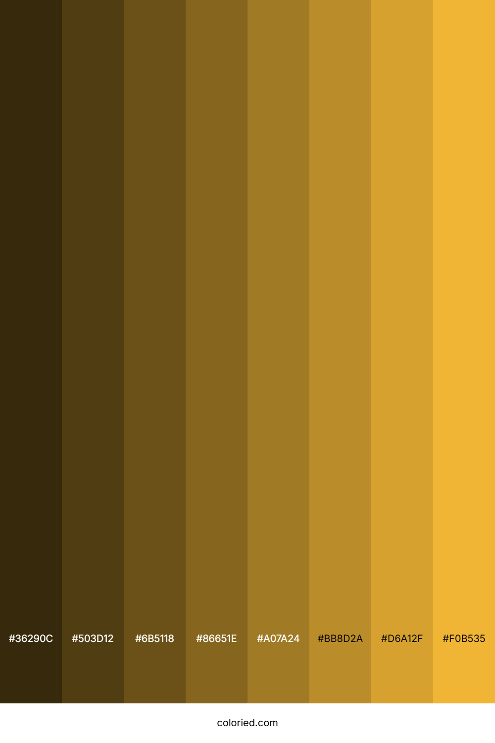Macaroni And Cheese Color Shades