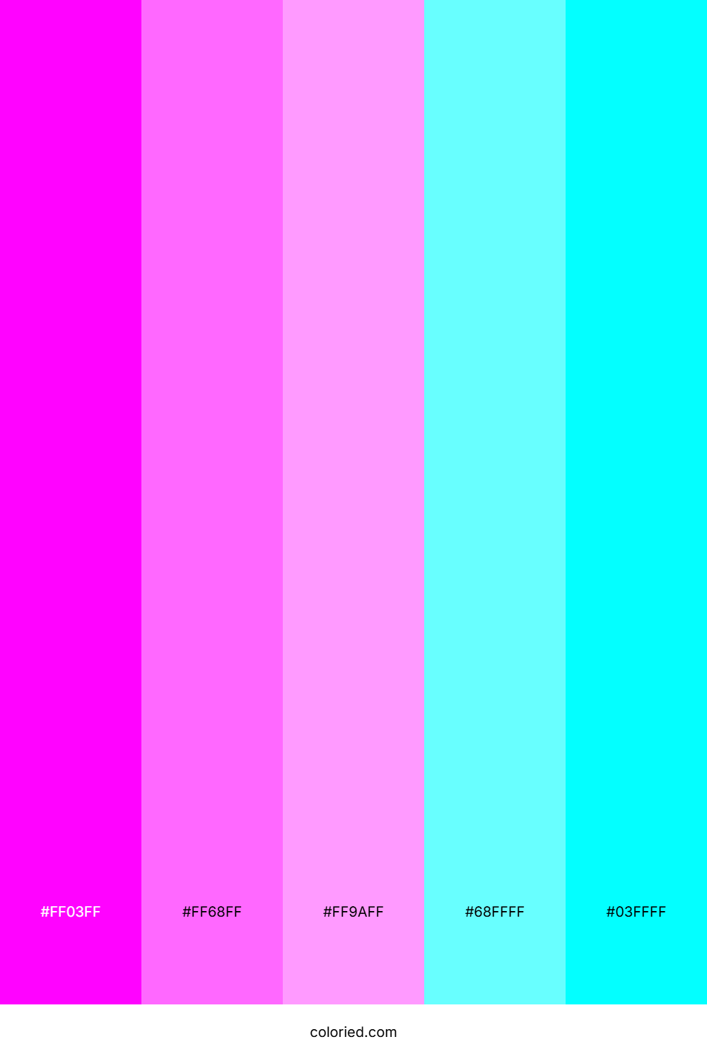 Magenta and Cyan Color Palette