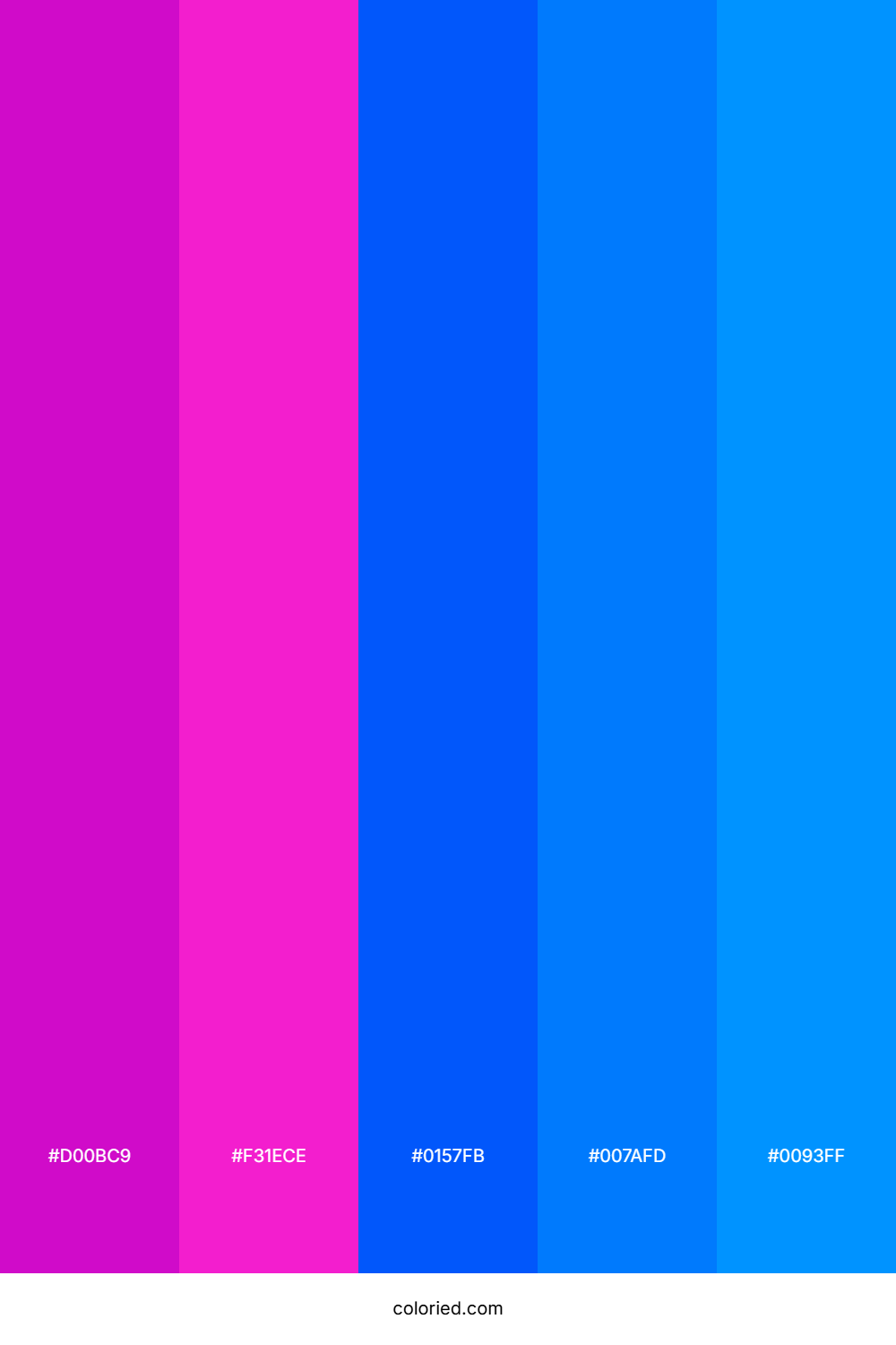 Magenta and Electric Blue Color Palette