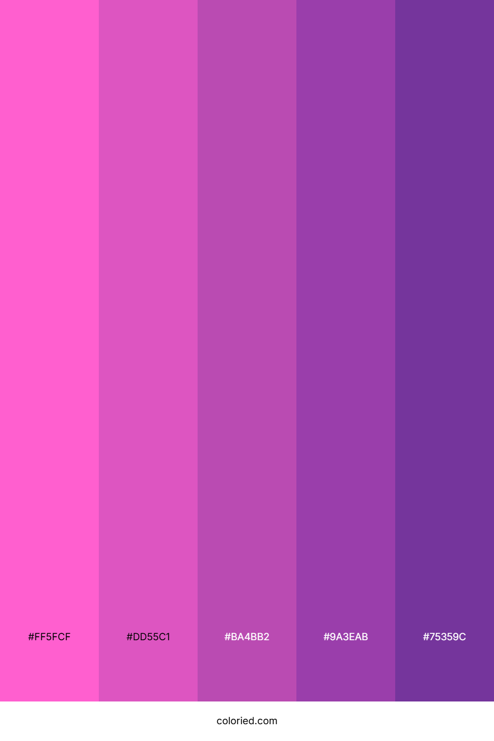Magenta And Violet Color Palette