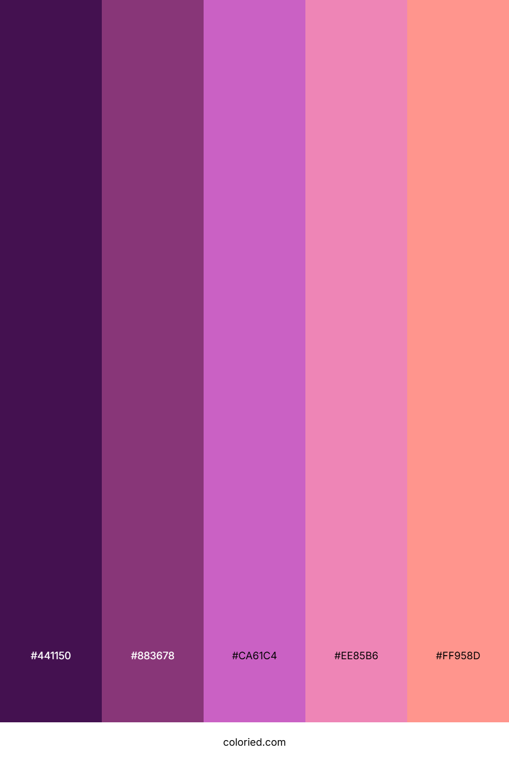 Magenta Evening Glow Palette