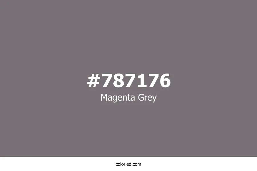 Magenta Grey Color