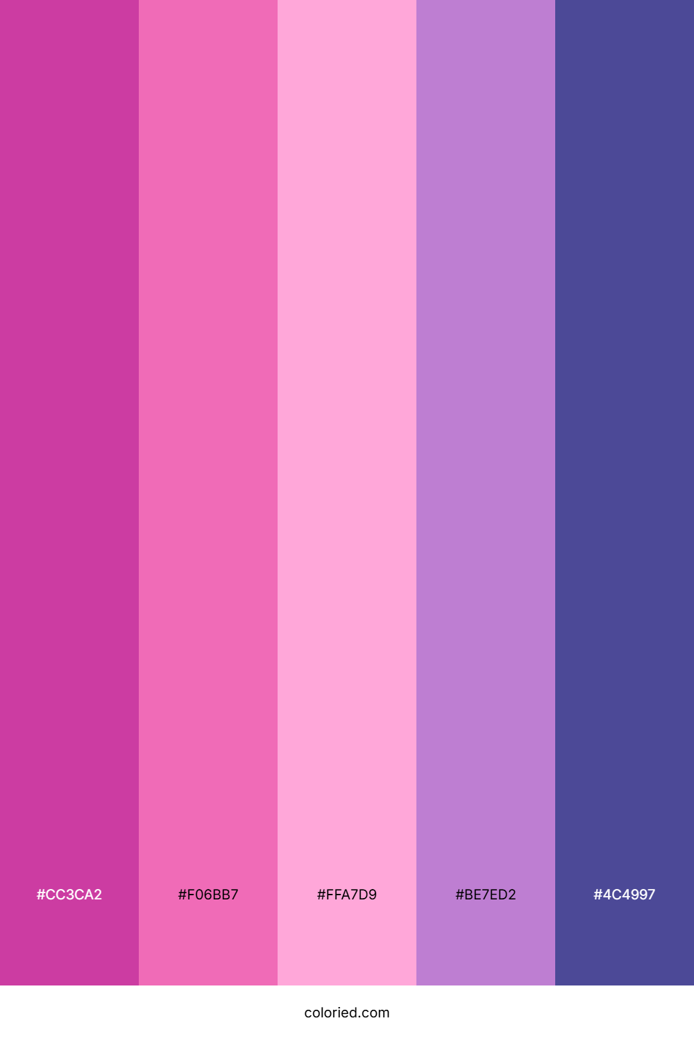 Magenta Night Bloom Color Palette