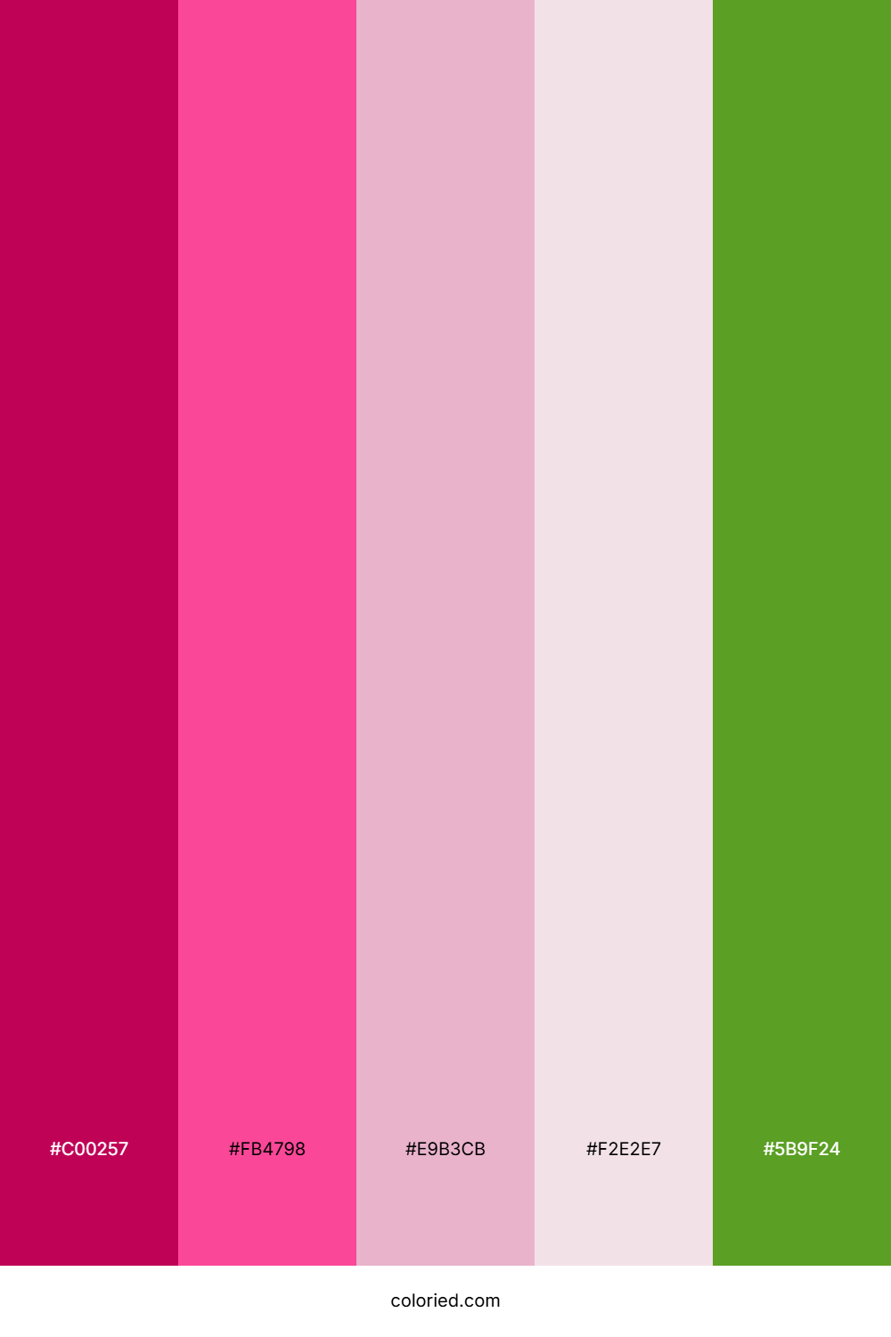 Magenta Rose Garden Color Palette