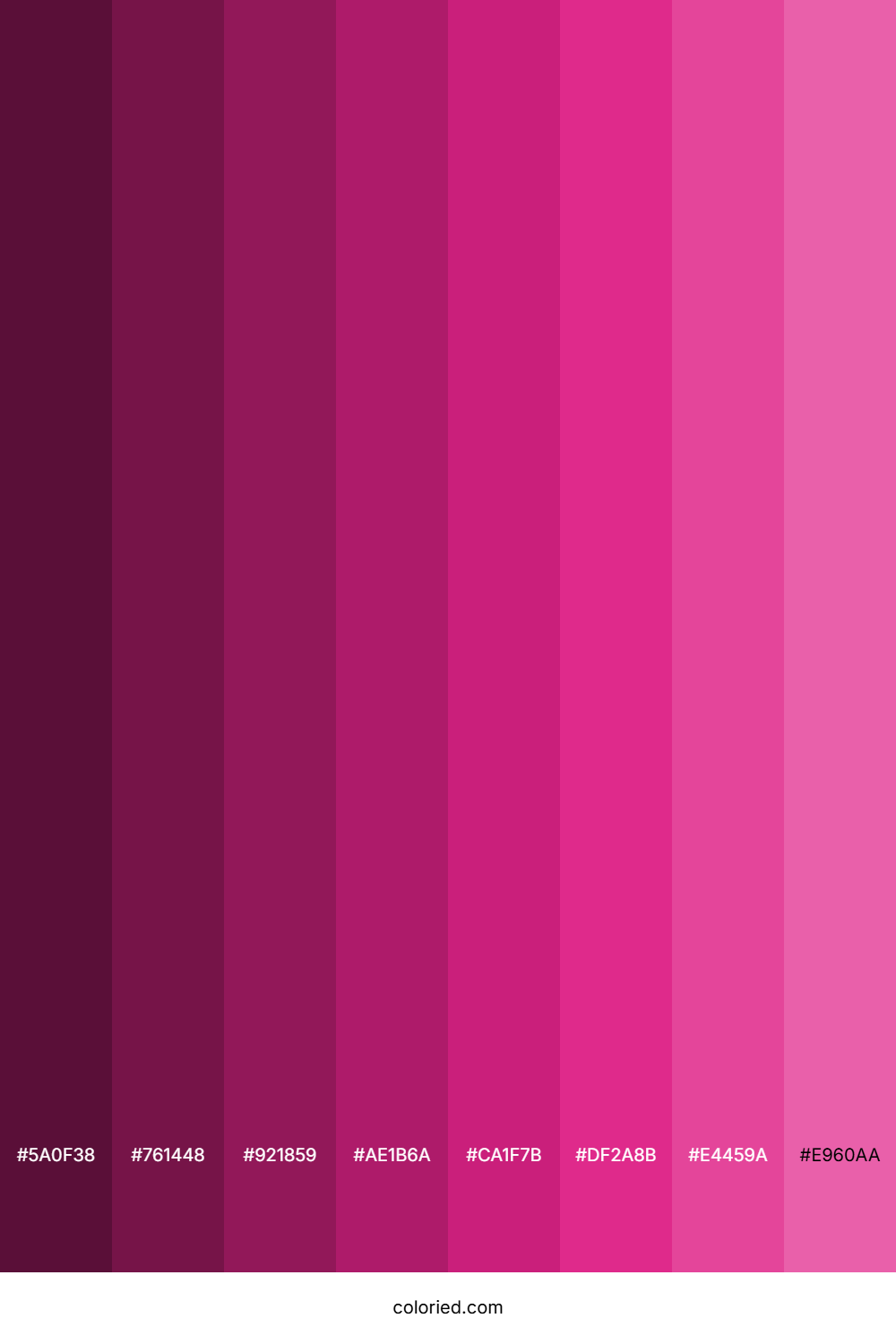 Magenta Shades