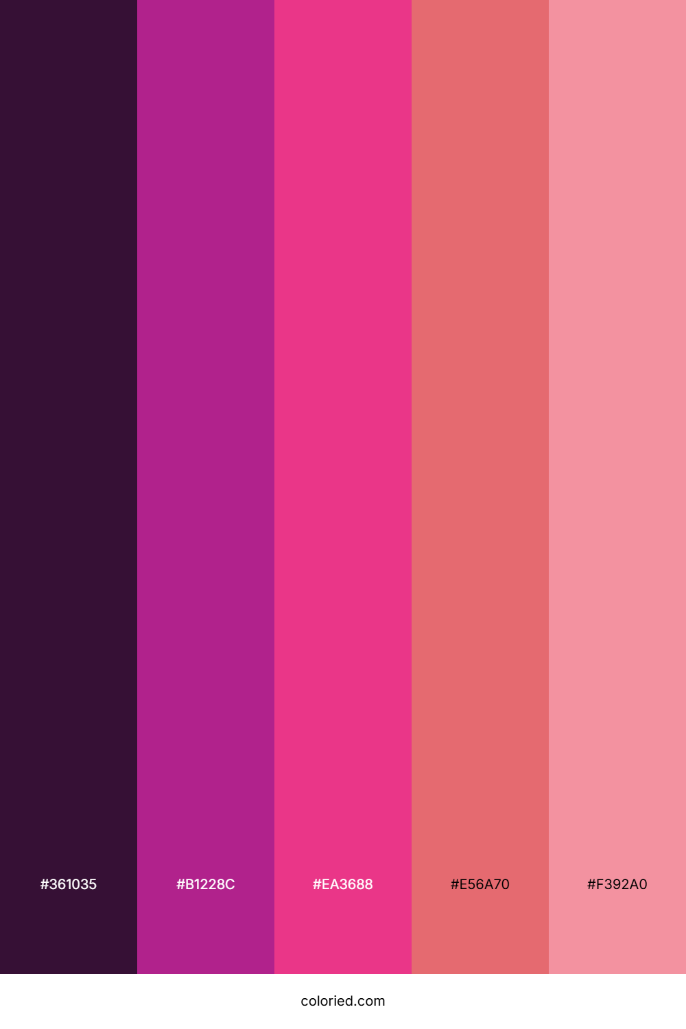 Magenta Twilight Color Palette