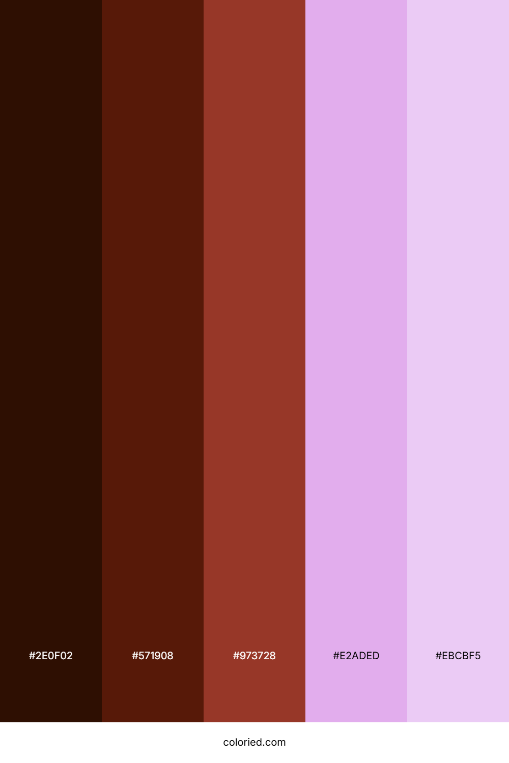 Mahogany Rose Color Palette