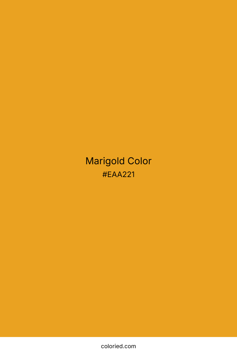 Marigold Color