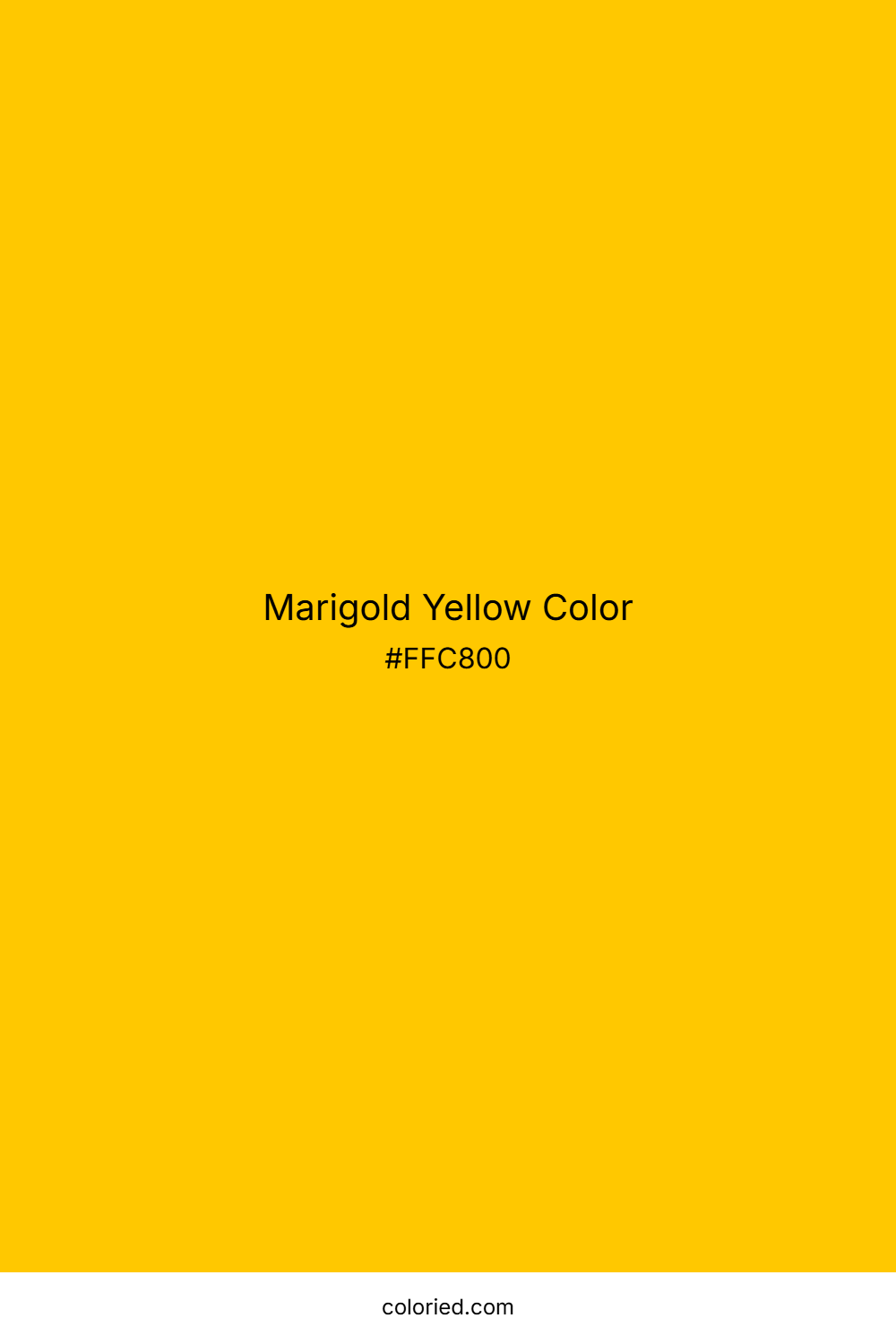 Marigold Yellow Color