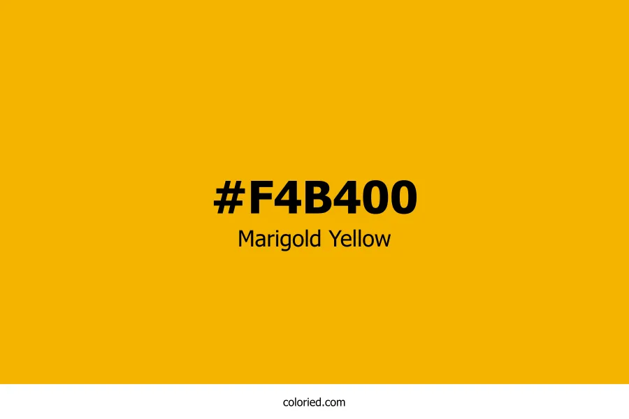 Marigold Yellow Color