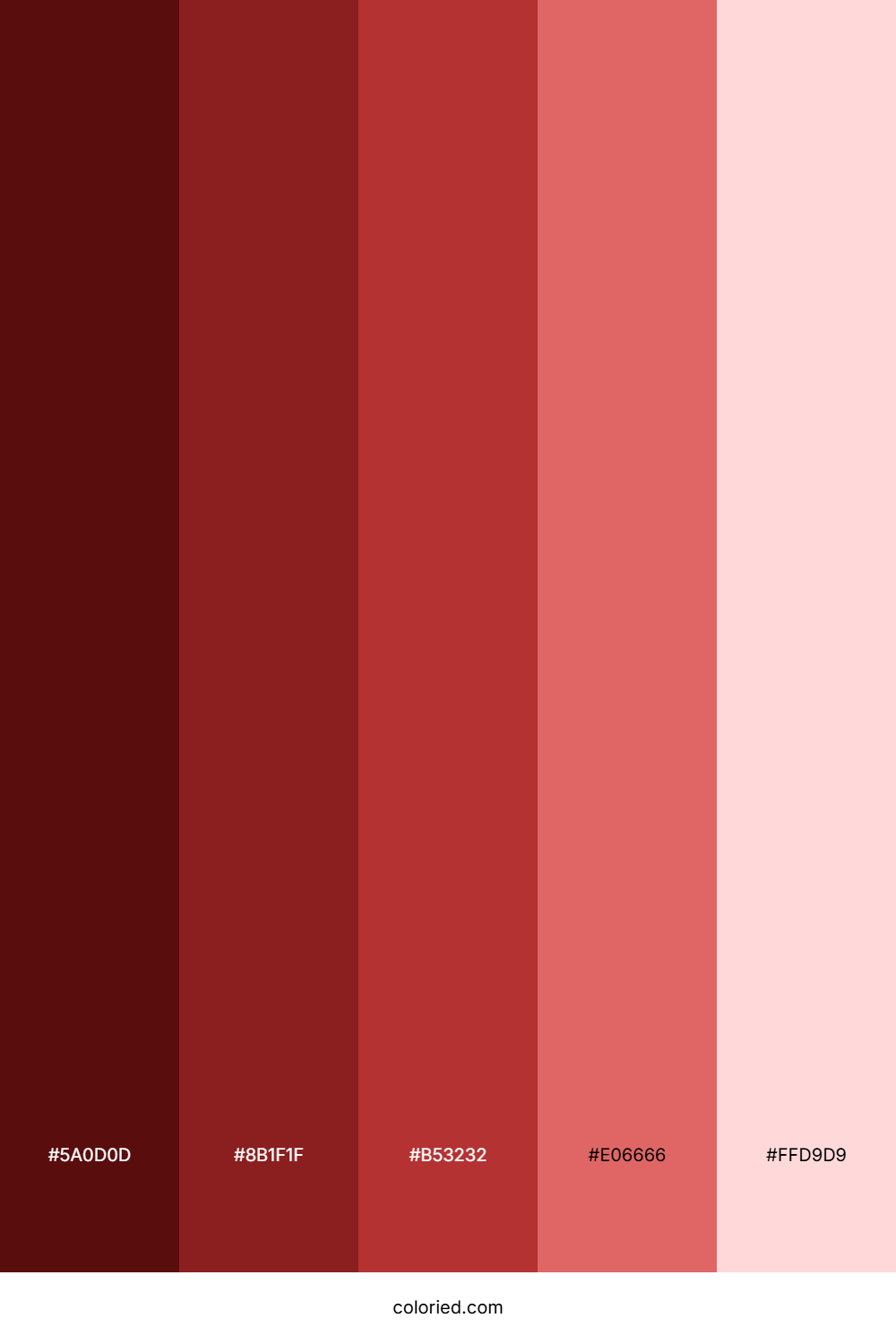 Maroon Red Color Palette
