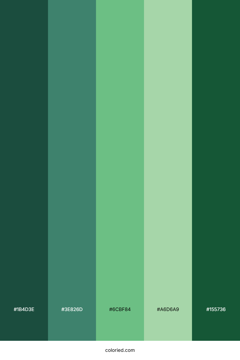 Matcha Color Palette