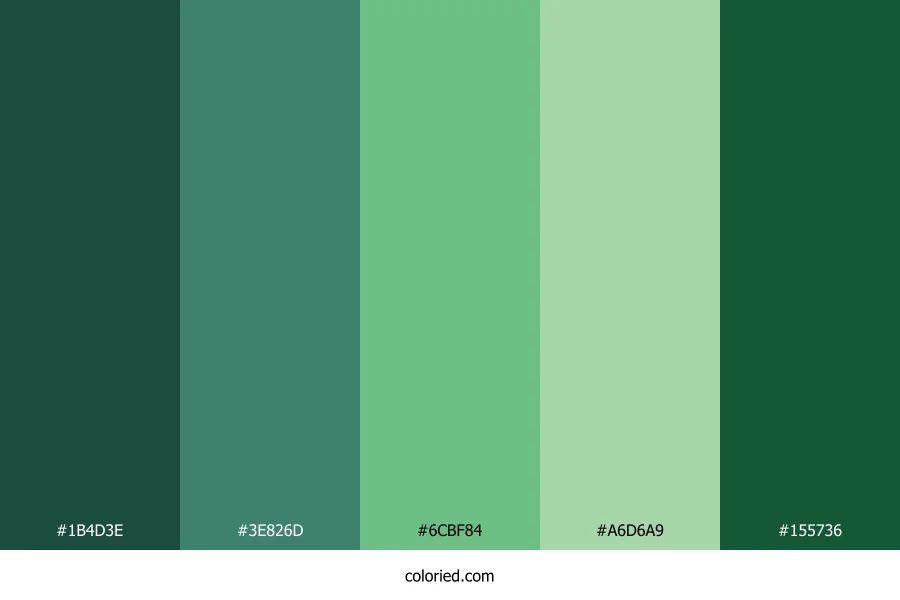 Matcha Color Palette