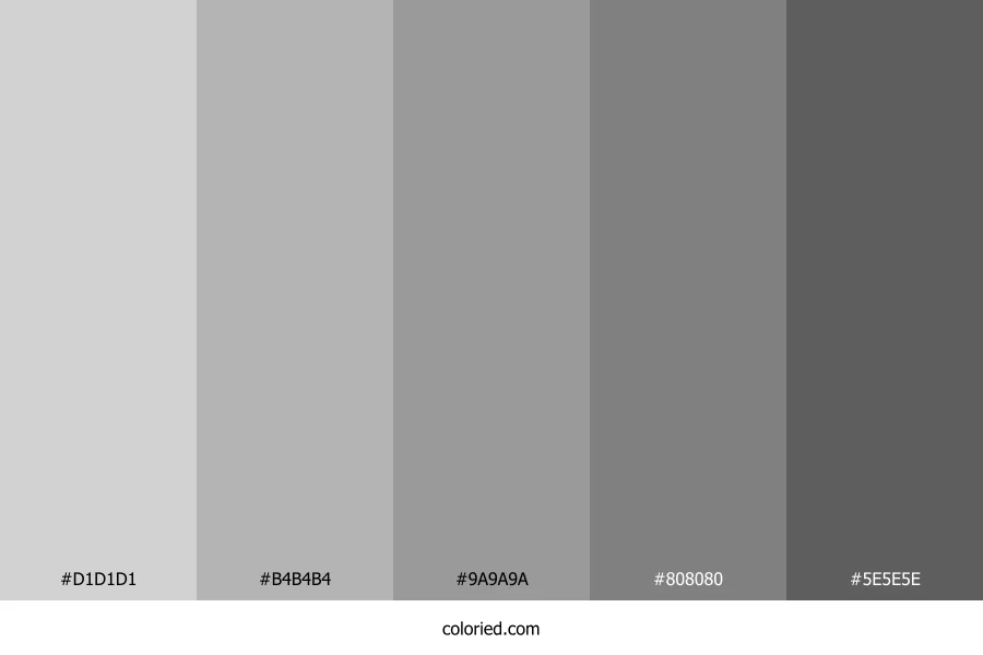 Matte Gray Color Palette