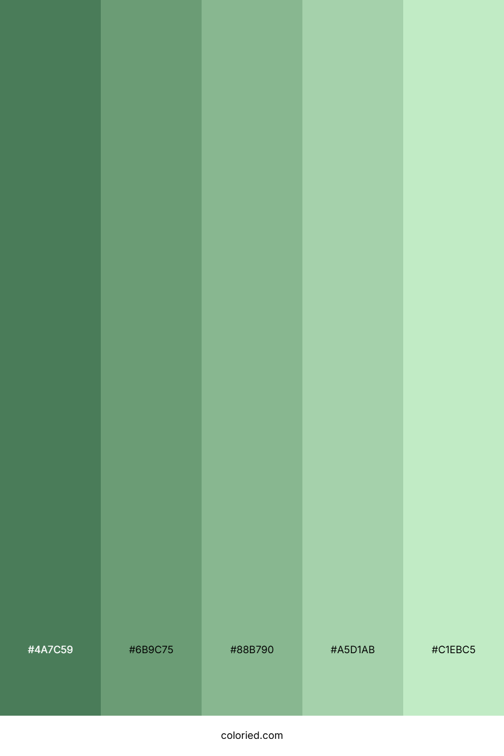 Matte Green Color Palette