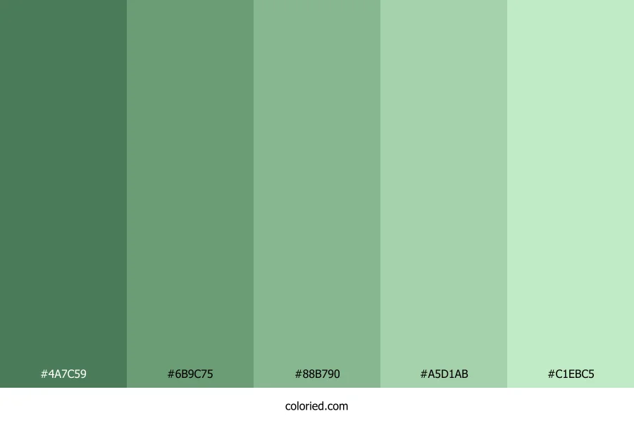 Matte Green Color Palette
