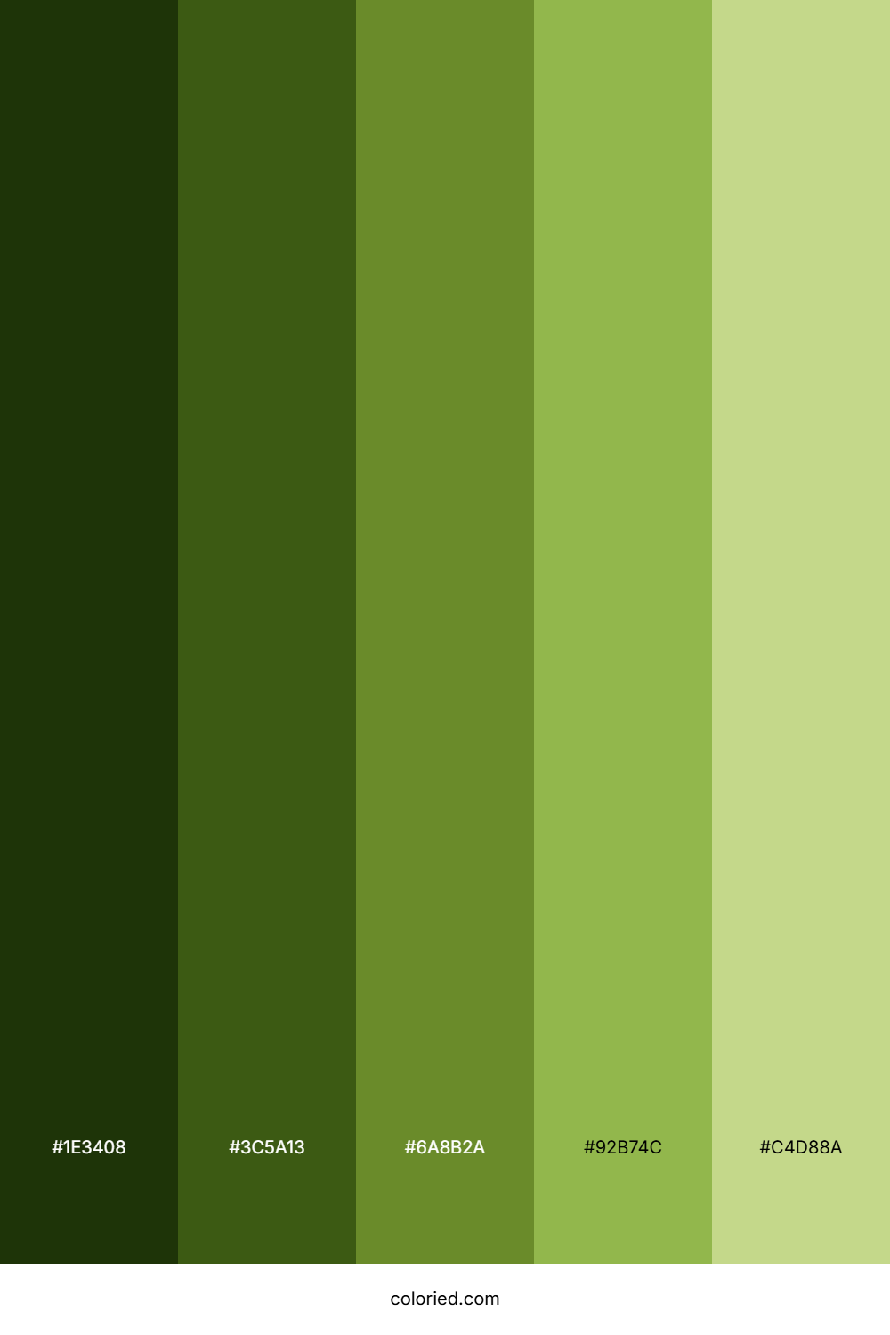 Matte Lime Green Color Palette