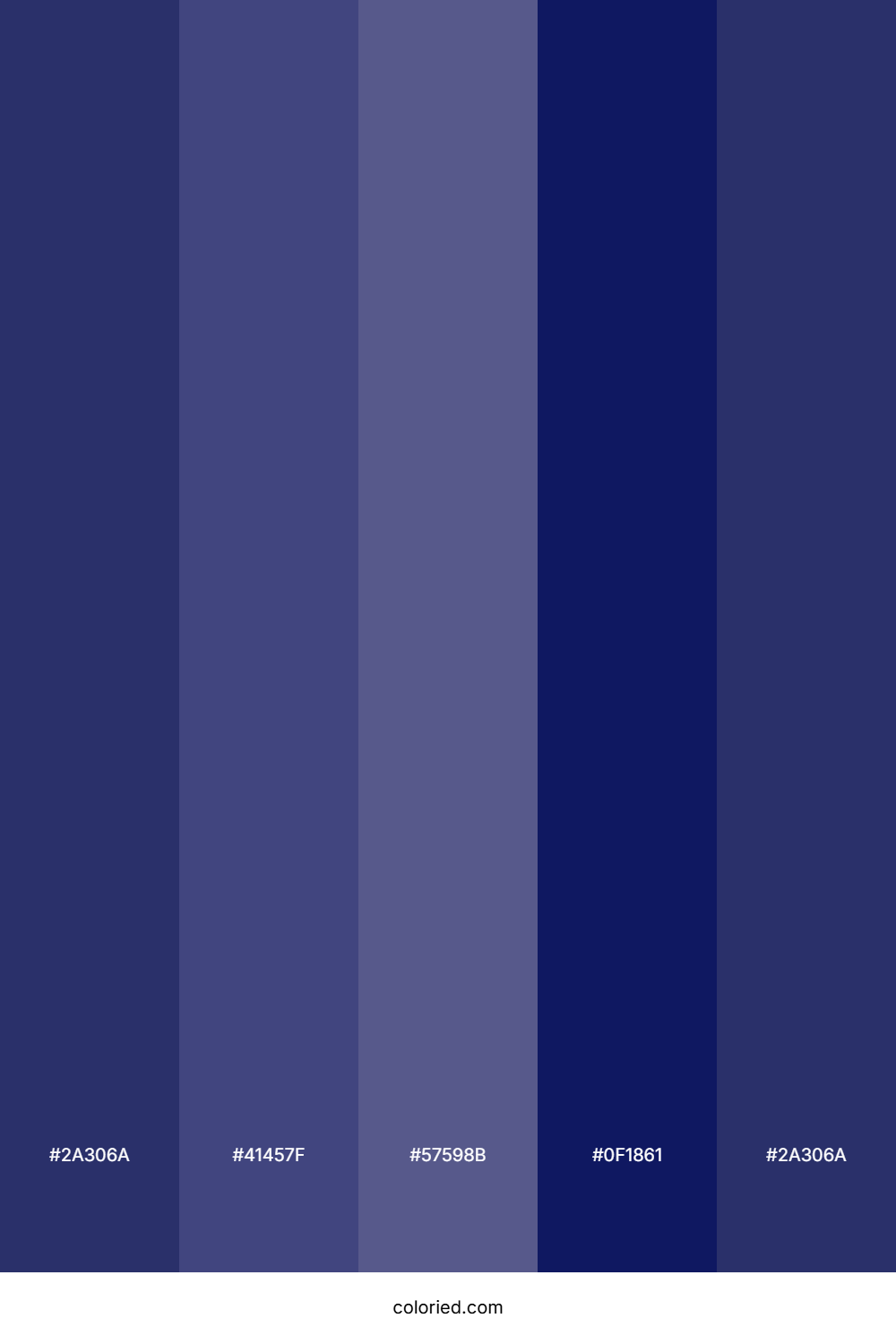 Matte Navy And Deep Indigo Color Palette