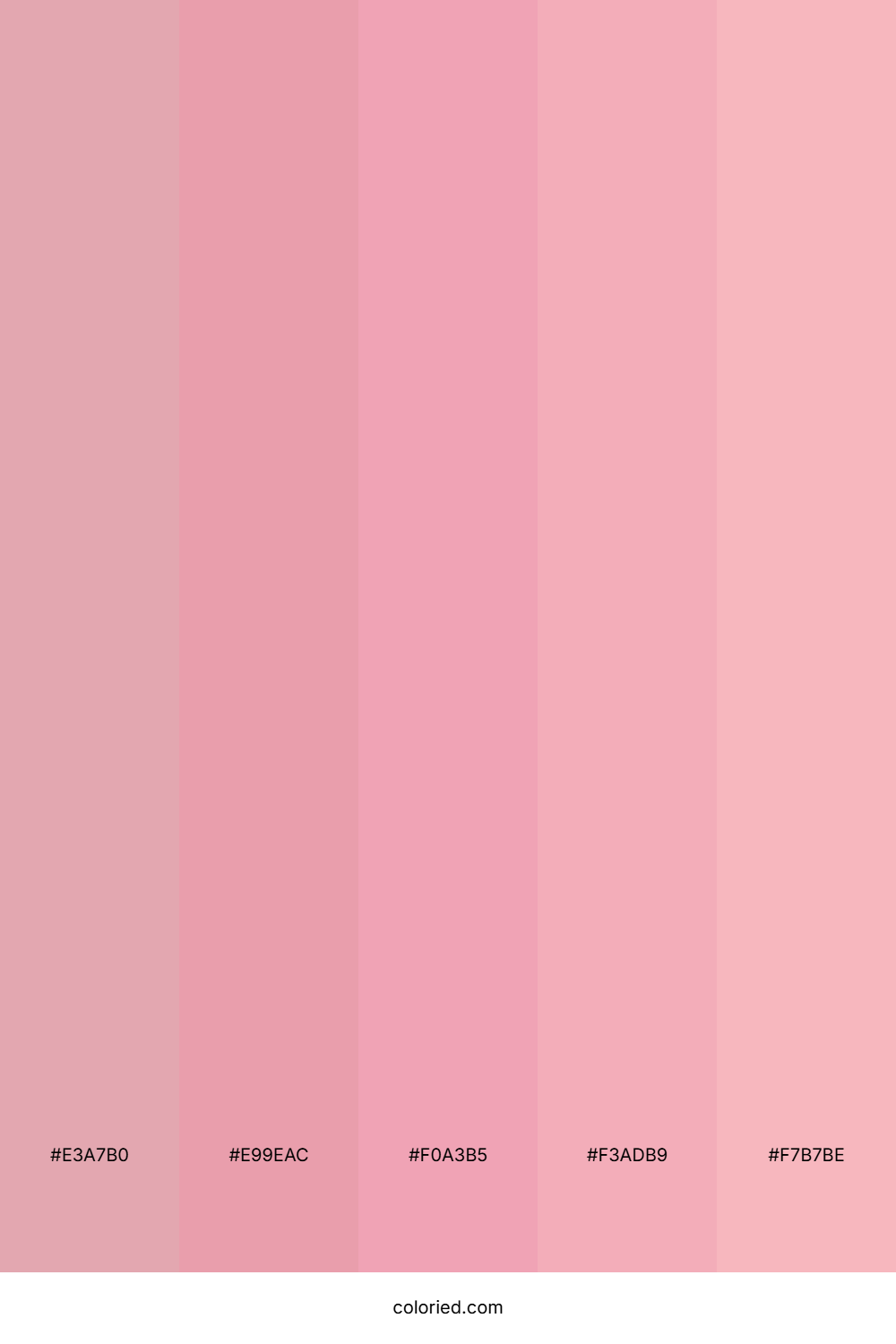 Matte Pink Color Palette