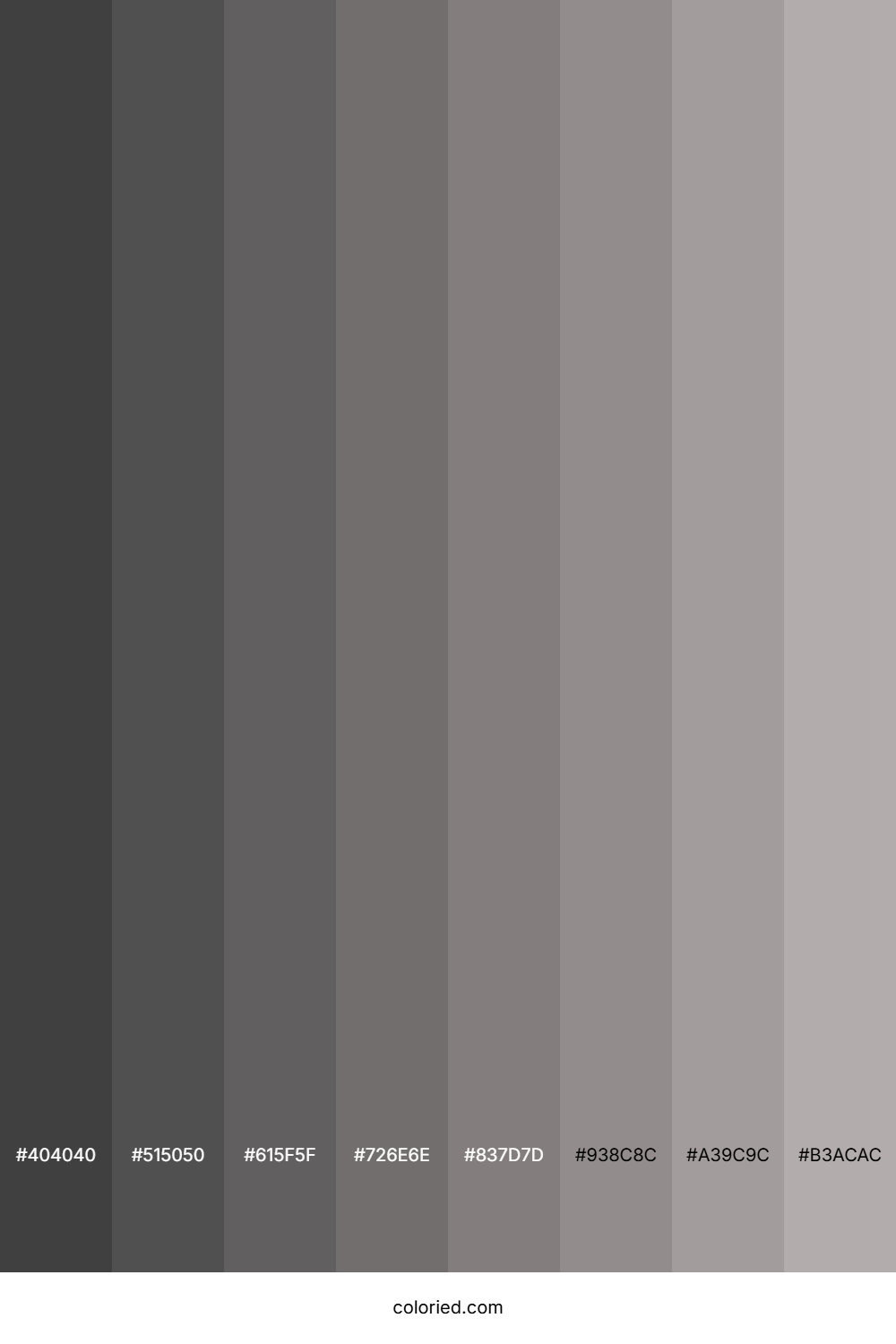 Matte Shades