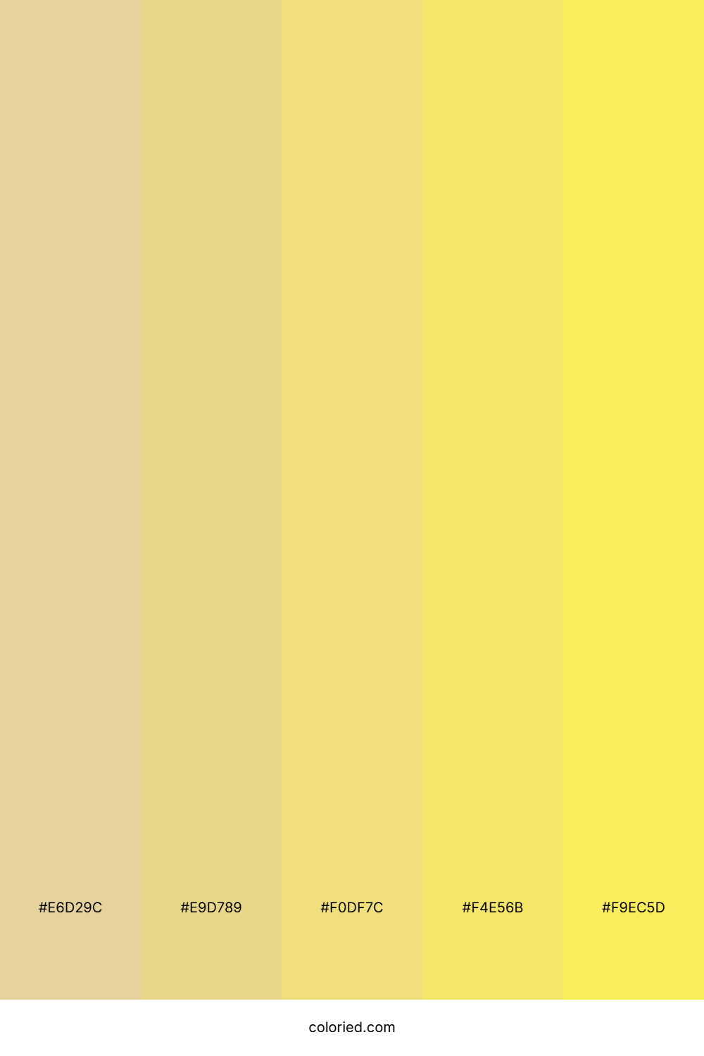 Matte Yellow Color Palette