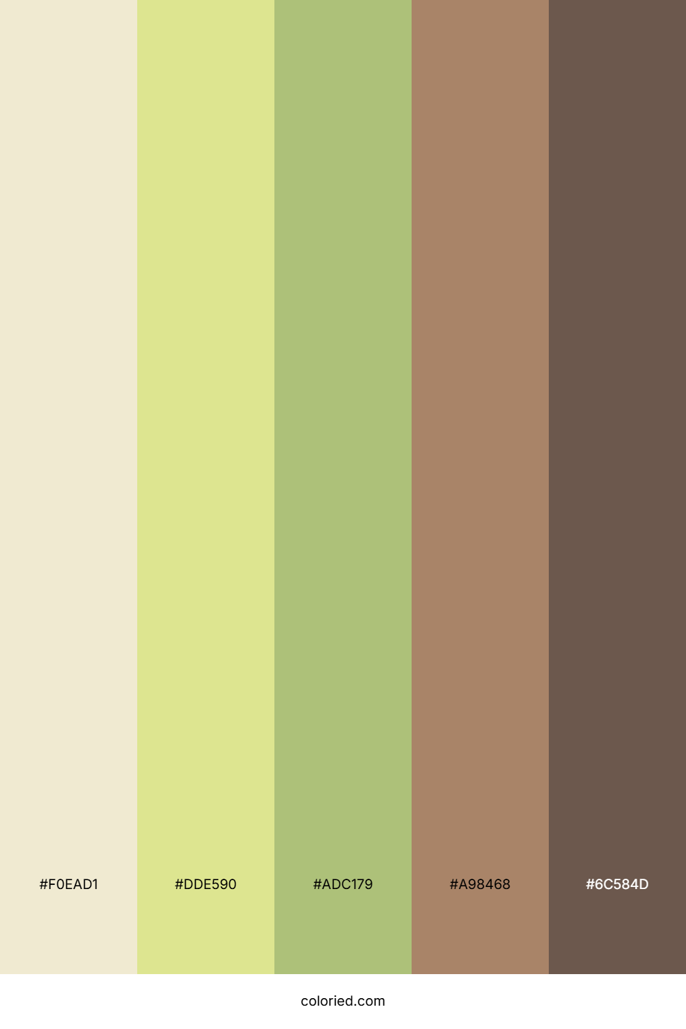 Meadow Grass Honey Color Palette