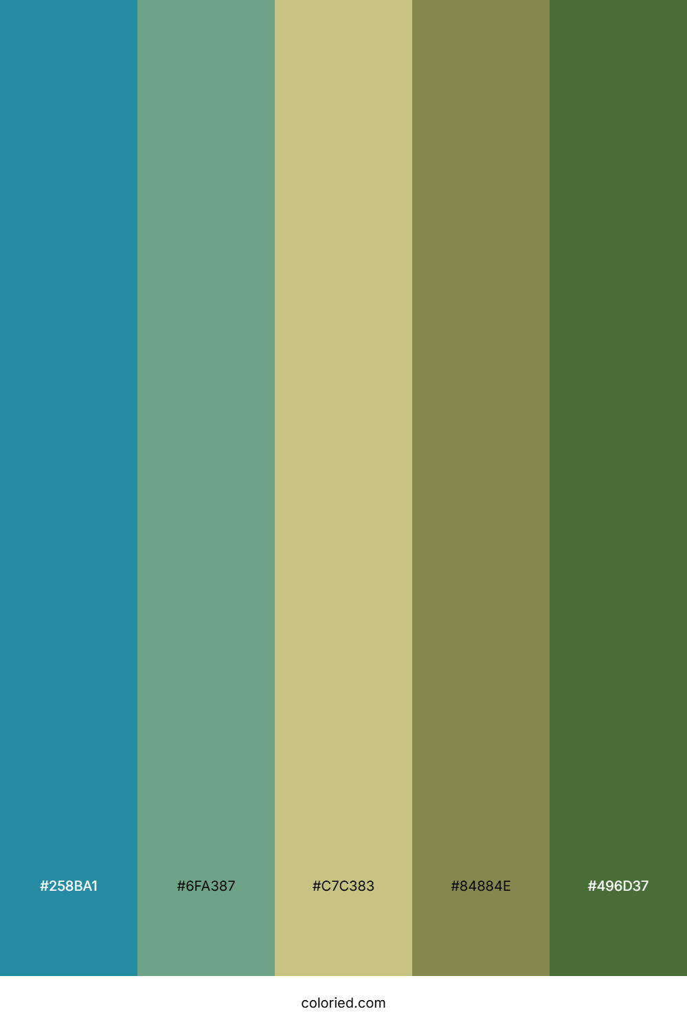 Meadow Sky Reflection Color Palette