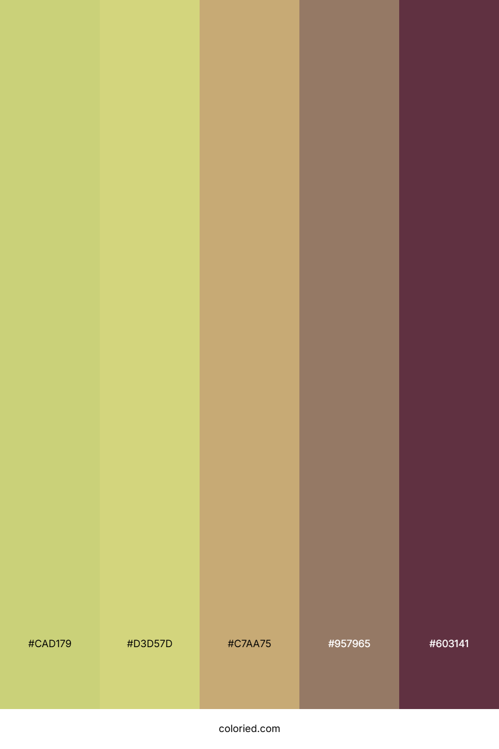 Meadow Sunlit Path Palette