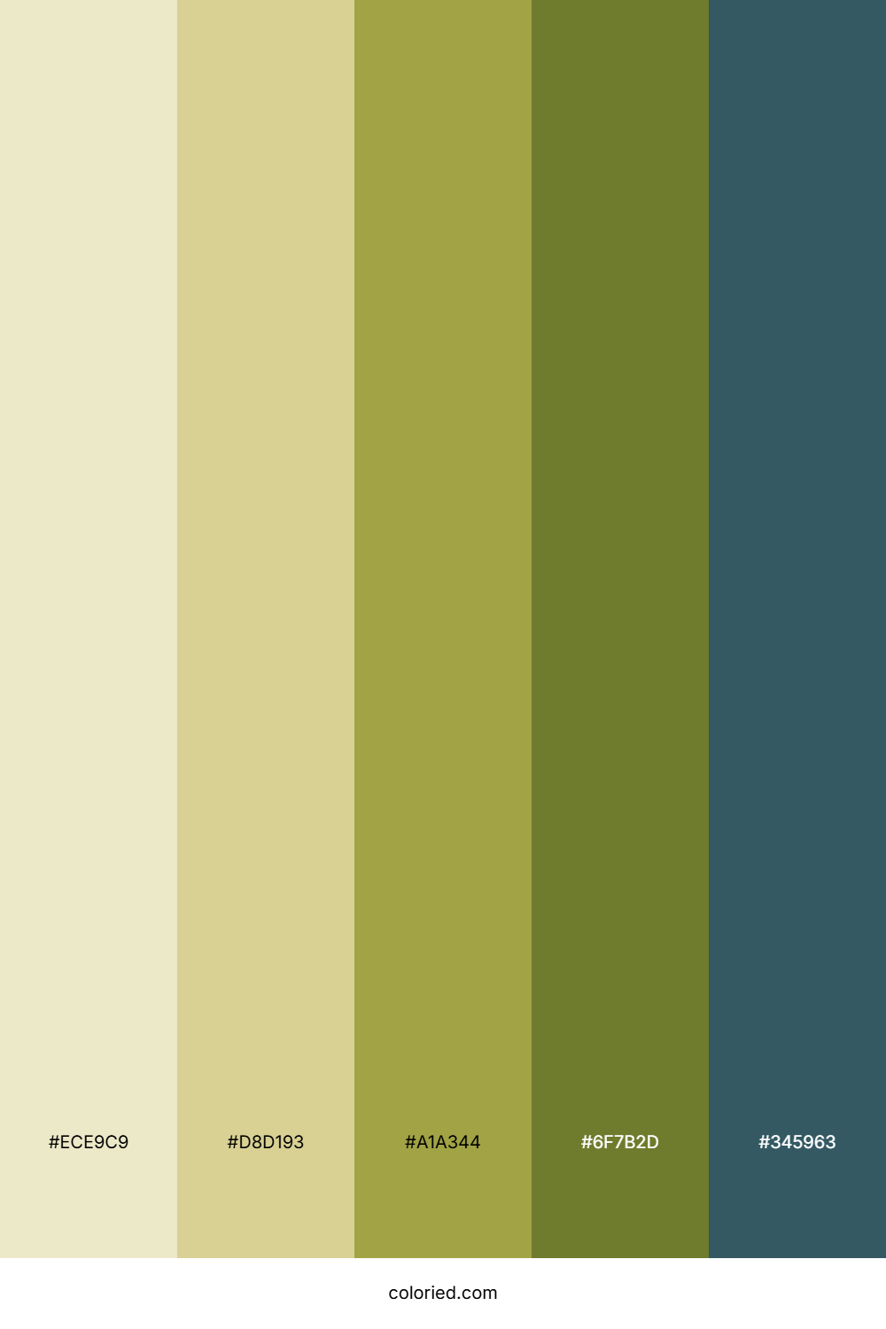 Meadow Sunlit Sky Color Palette