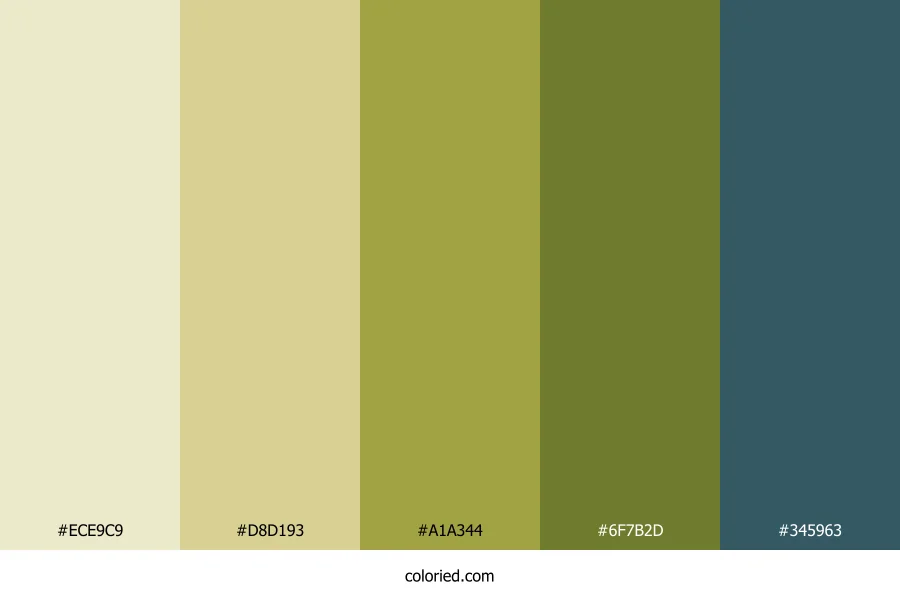 Meadow Sunlit Sky Color Palette