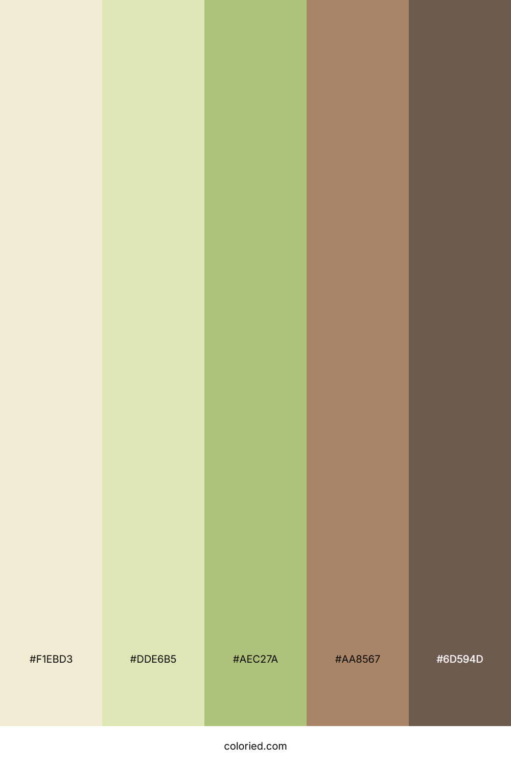 Meadow Wheat Field Palette