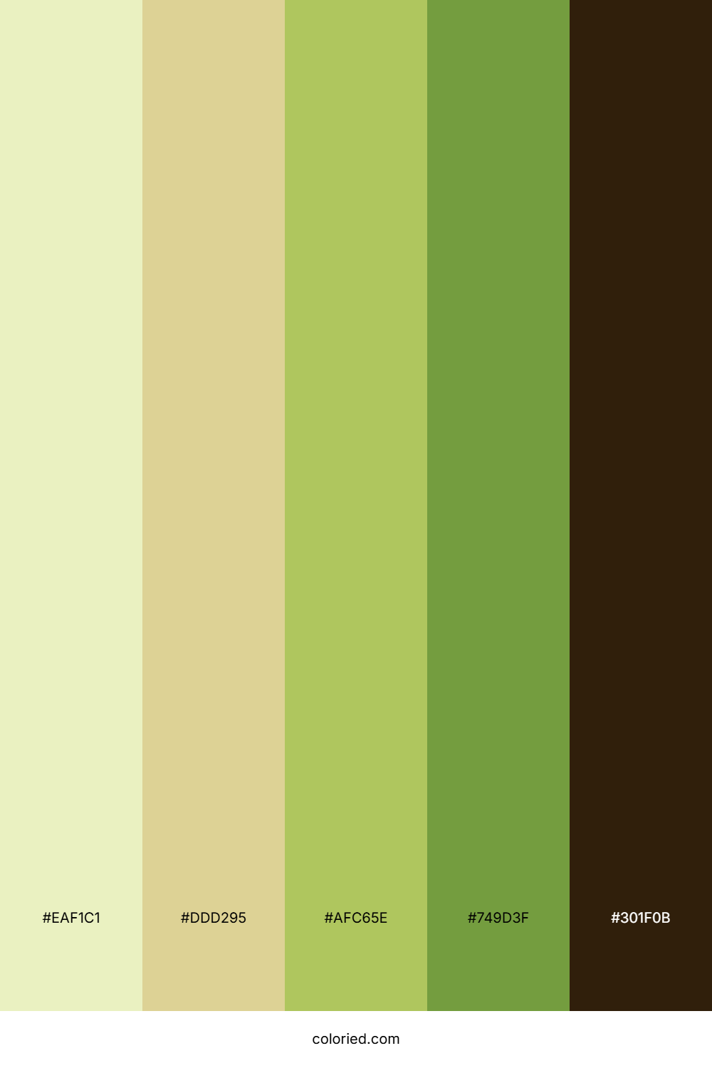 Meadow Wheat Glow Color Palette