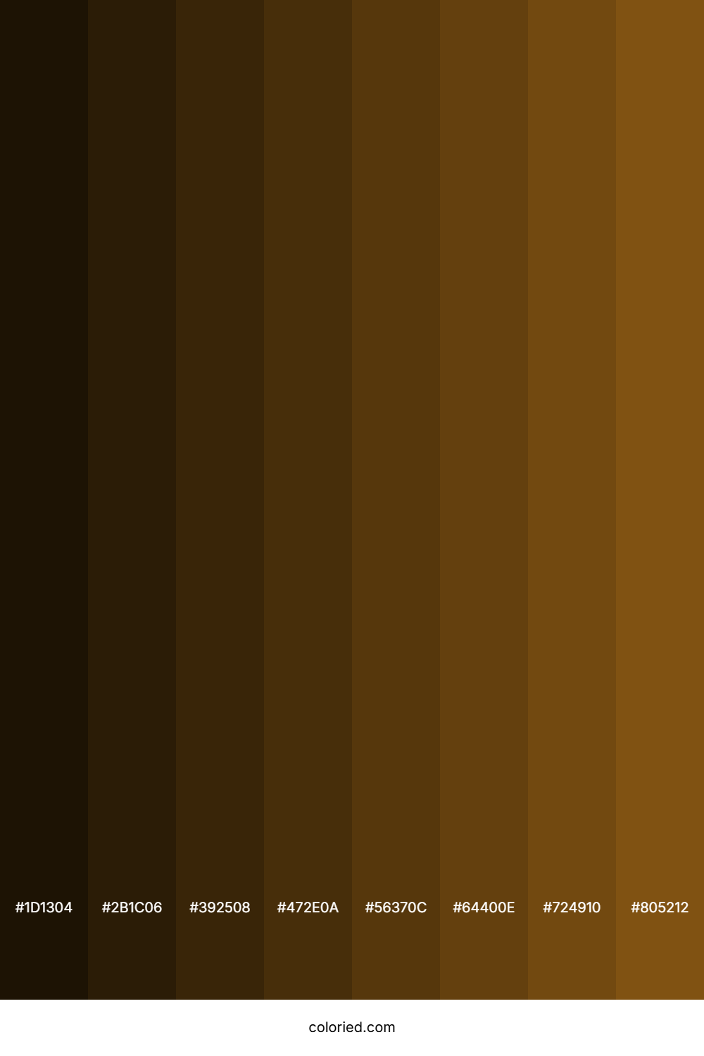 Medium Brown Color Shades