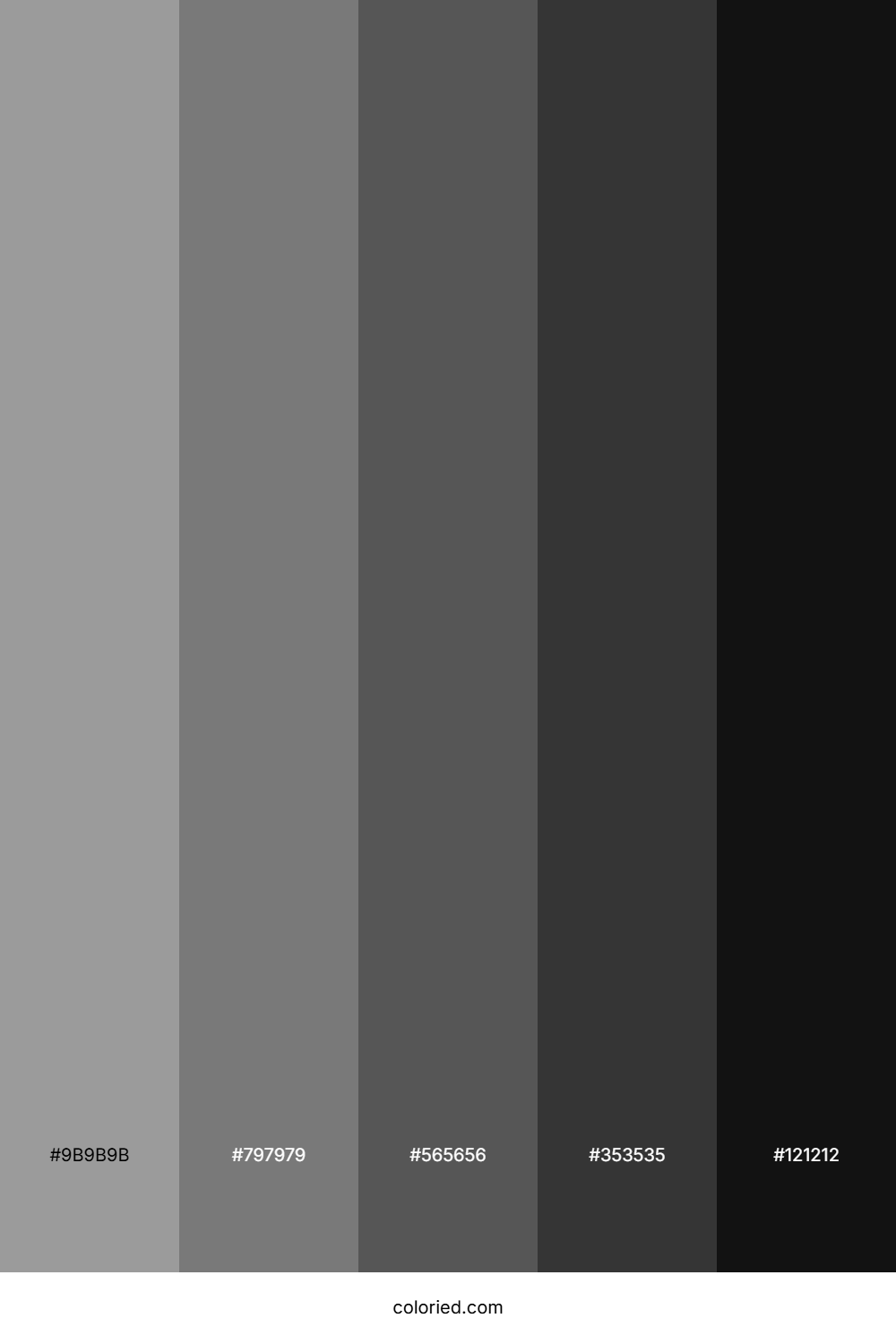 Medium Gray and Dark Gray Color Palette