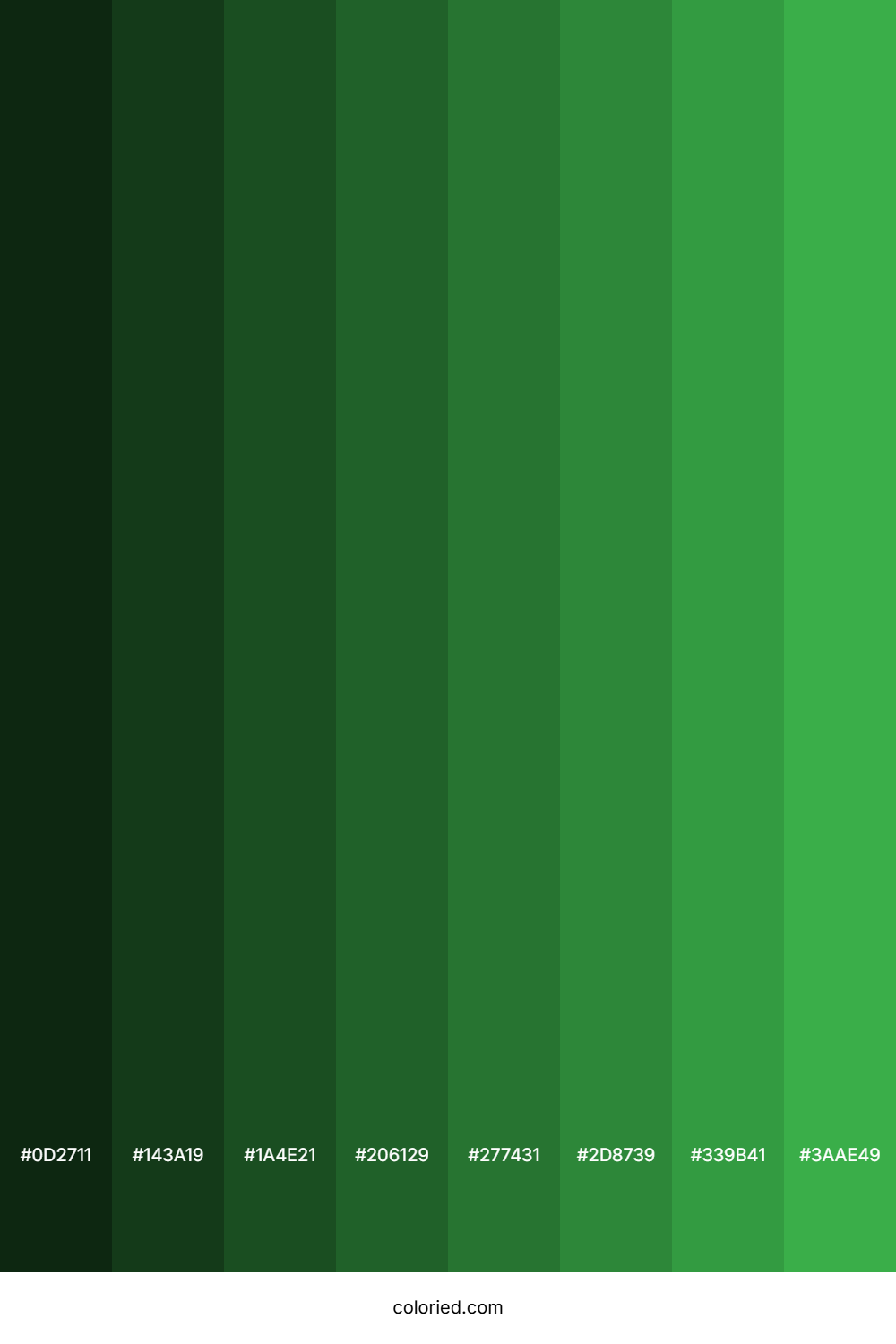 Medium Green Color Shades