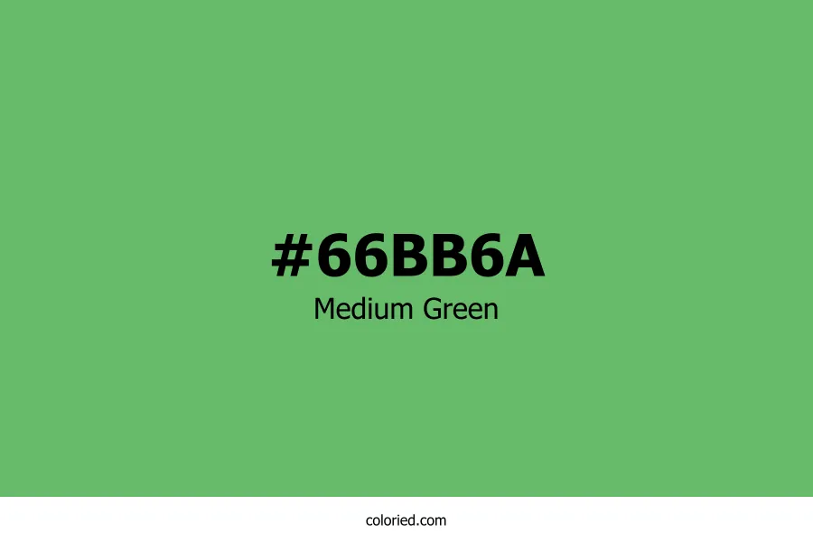 Medium Green Color