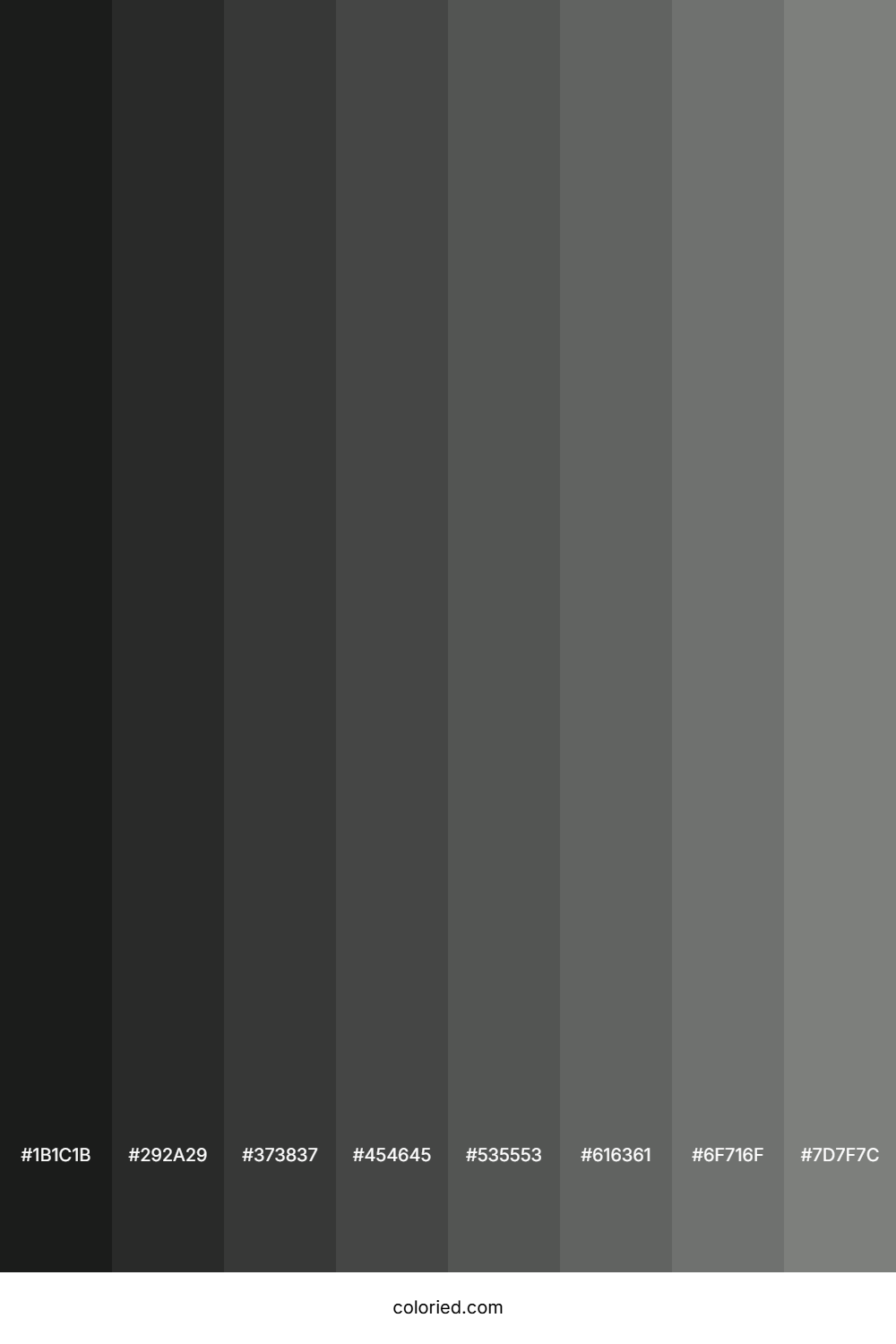 Medium Grey Color Shades