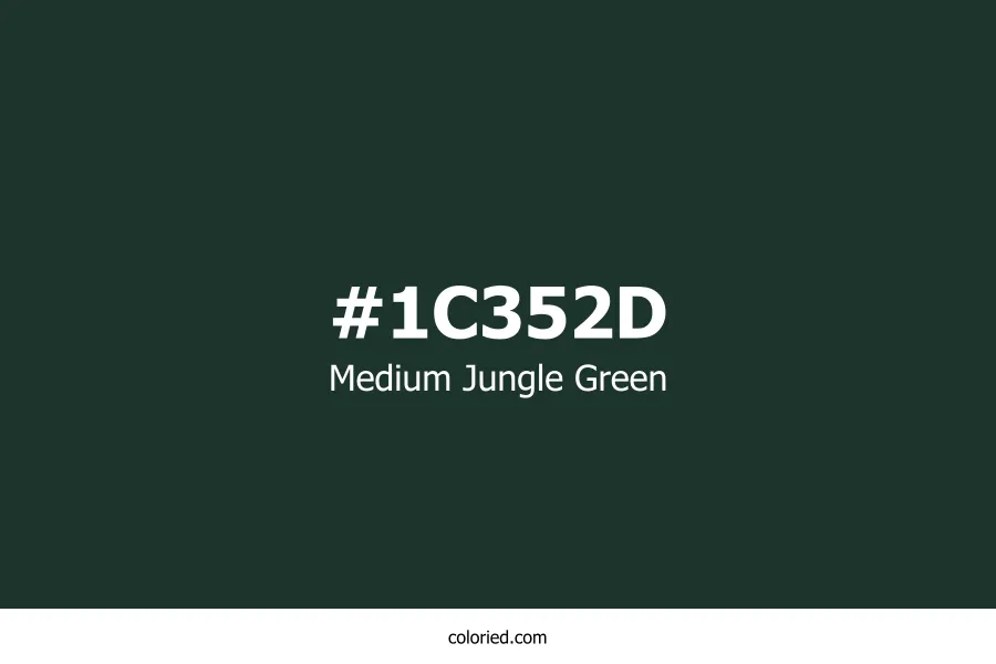 Medium Jungle Green Color