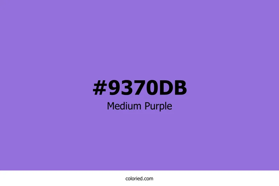 Medium Purple Color