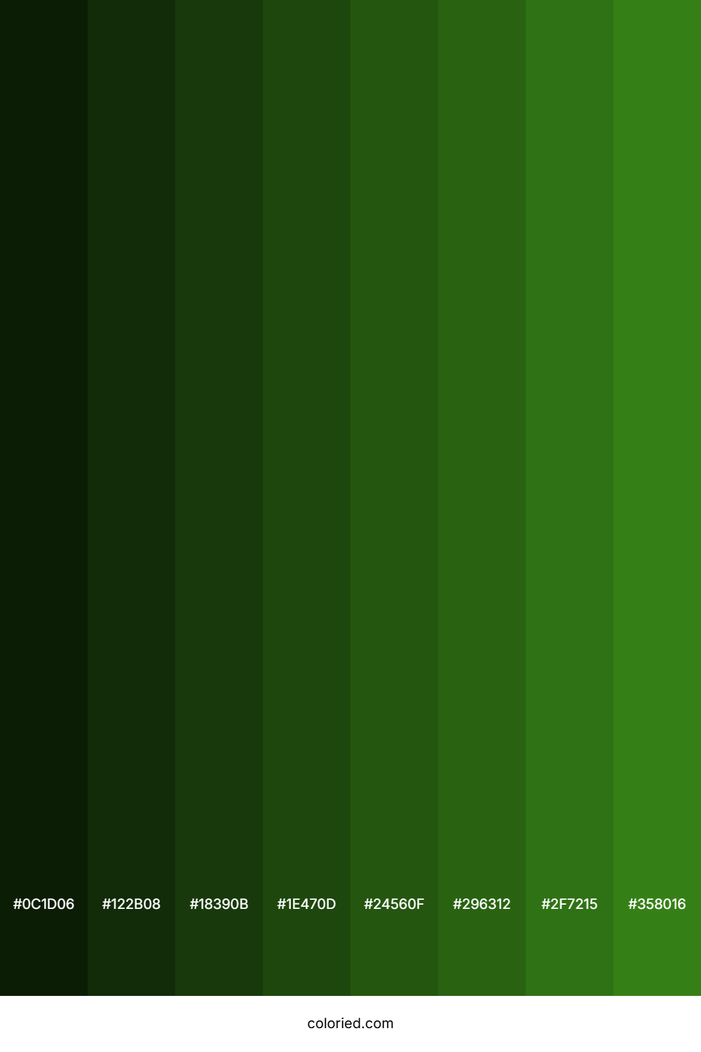 Medium Spring Green Color Shades