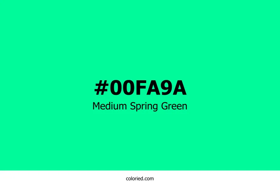 Medium Spring Green Color