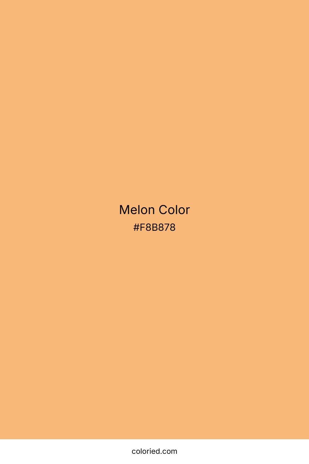 Melon Color