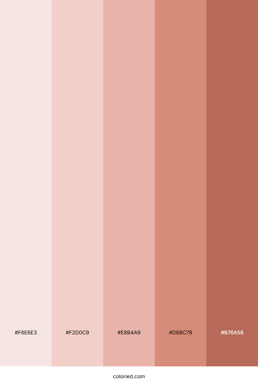 Metallic Rosegold Gradient Color Palette