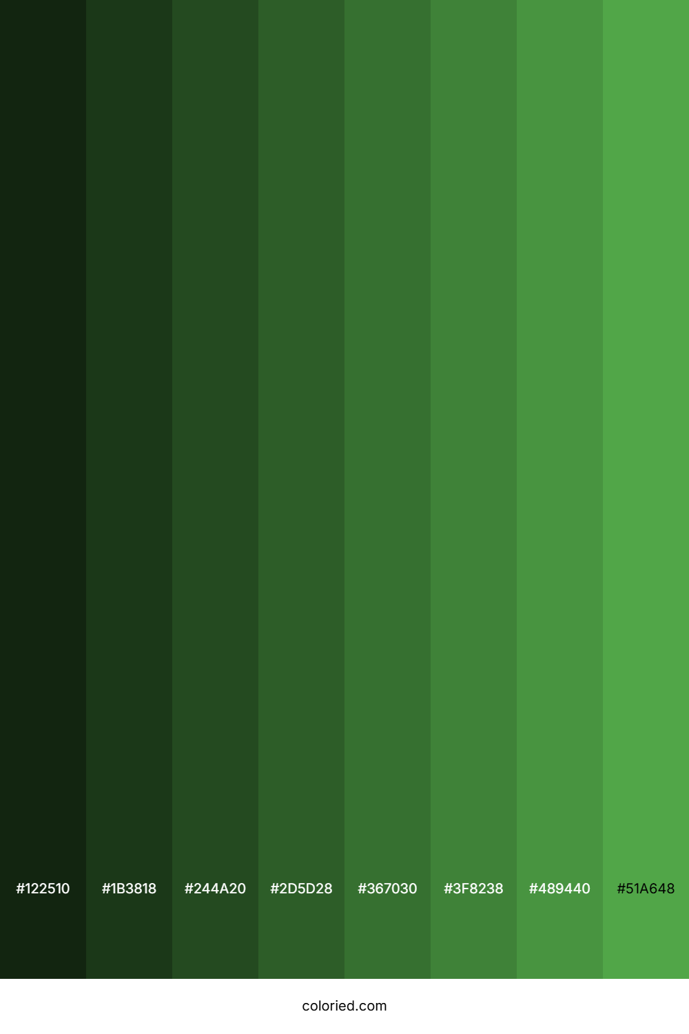 Mid Green Color Shades