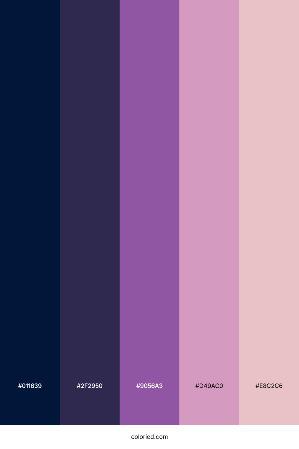 Midnight Amethyst Drift Color Palette